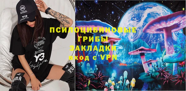 твердый Алексин