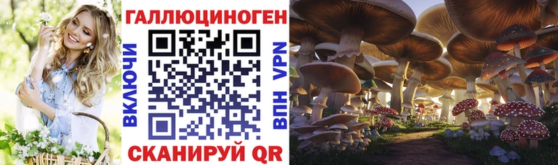 Псилоцибиновые грибы прущие грибы  Купить  Тбилисская 